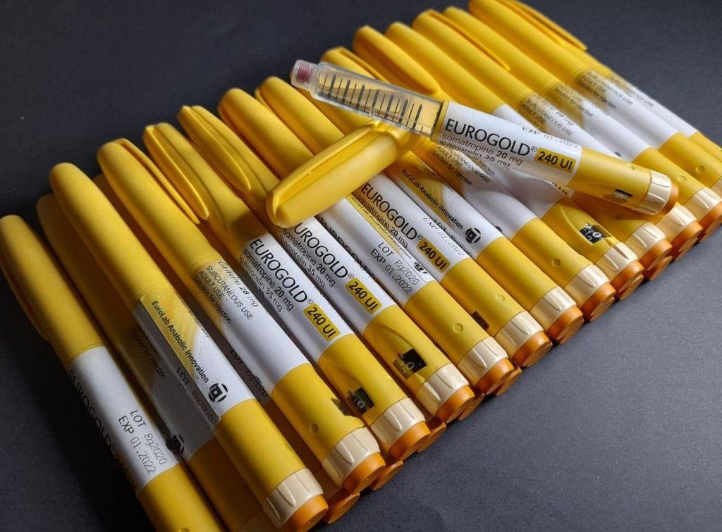 CANETA GH EUROGOLD 240 UI